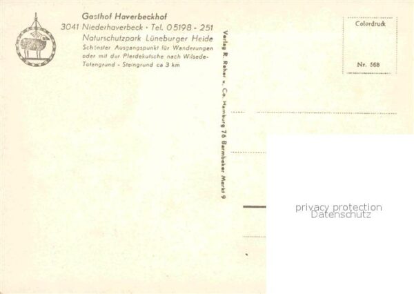 Niederhaverbeck Gasthof Haverbeckhof Teich Schafherde – Bild 2