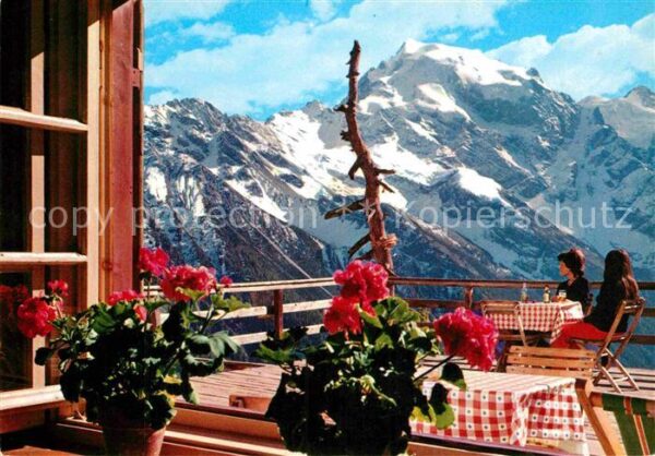 Ortler Blick von der Furkelhütte