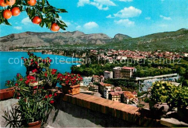 Sorrento Campania Panorama Küste Zitrusfrüchte