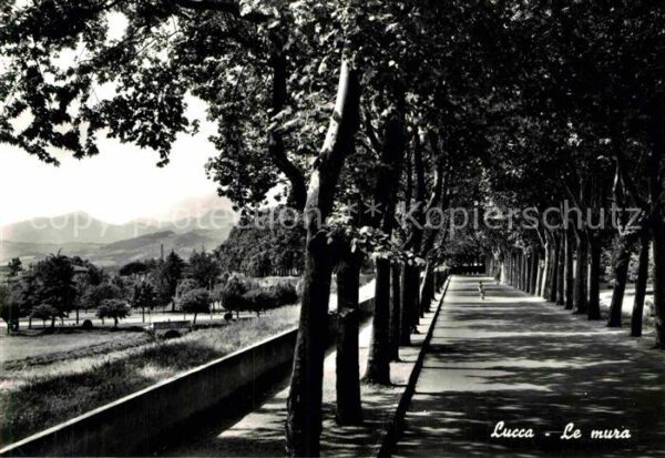Lucca Le mura Stadtwall
