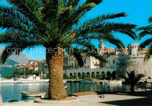 Korcula Partie am Hafen Palme Stadtmauer