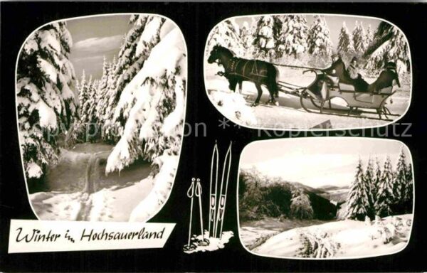 Pferdeschlitten Hochsauerland