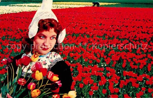 Trachten Holland Tulpen