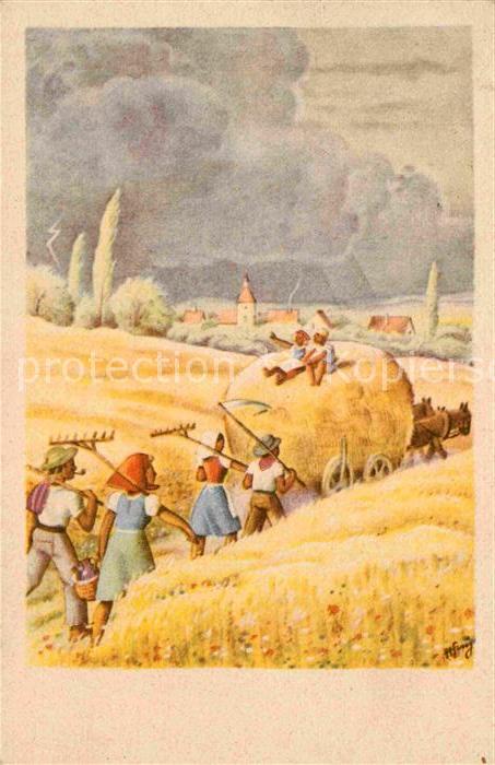 Ernte Landwirtschaft Heuernte Sense Rechen