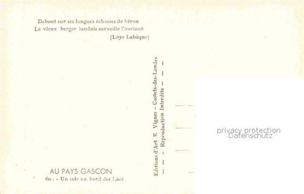 Schafe Stelzenläufer Pays Gascon Lac – Bild 2