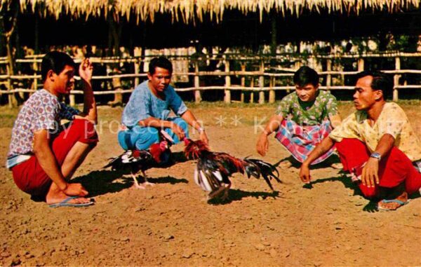 Gefluegel Cock Fighting Up-Country Thailand