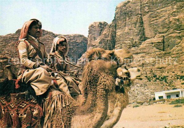 Kamel  Camel Chameau Desert Police Patrol