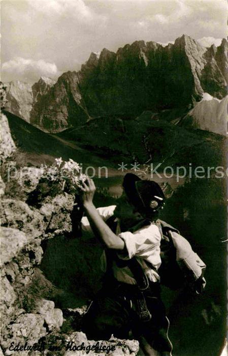 Bergsteigen Klettern Edelweiss Hochgebirge