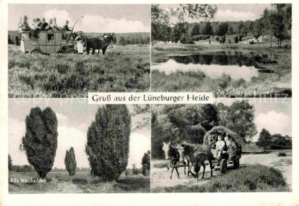 Postkutsche Privatkutsche Alte Wacholder Schlangeng