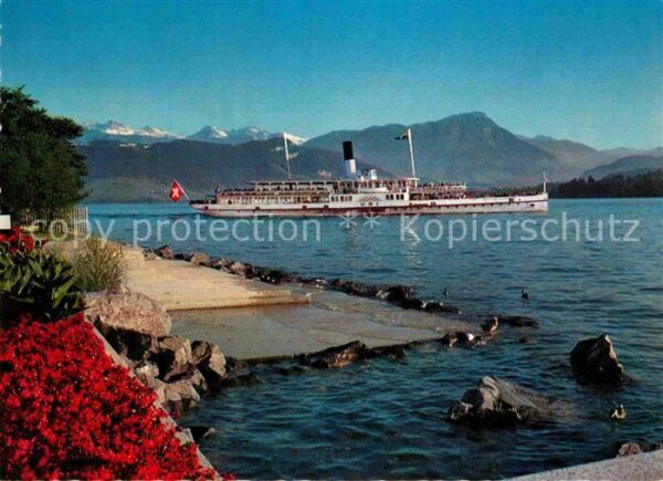 Dampfer Seitenrad Uri Luzern Vierwaldstättersee