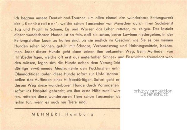 Bernhardiner Rettungswerk Hamburg Mehnert – Bild 2