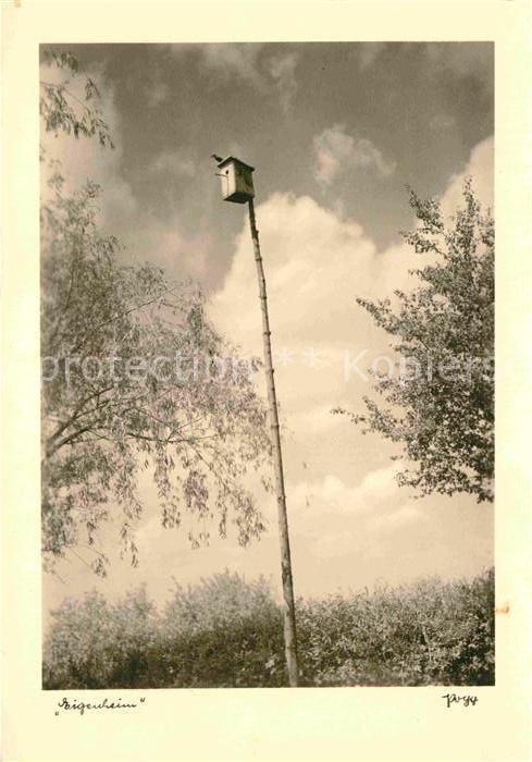 Foto Popp Nr. Eigenheim Vogelhäuschen
