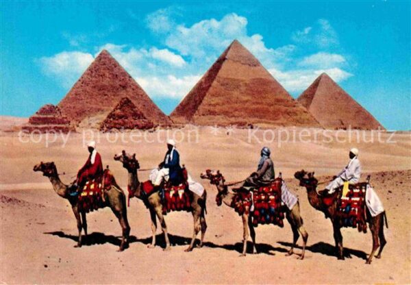 Kamel  Camel Chameau Camel Caravan Giza Pyramids