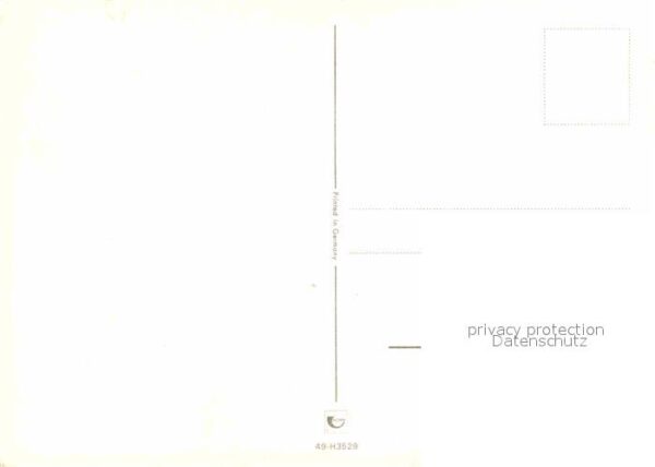 Affen – Bild 2