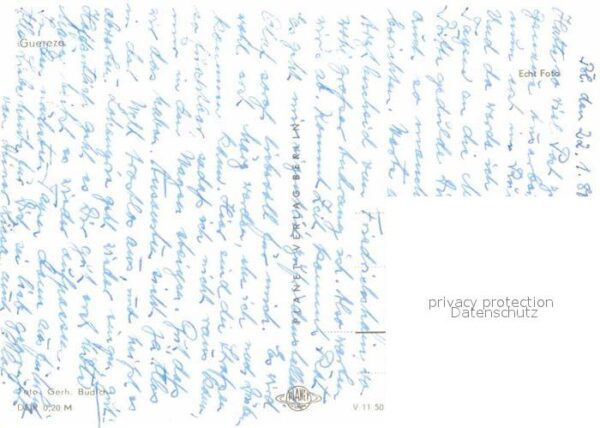 Affen Guereza – Bild 2