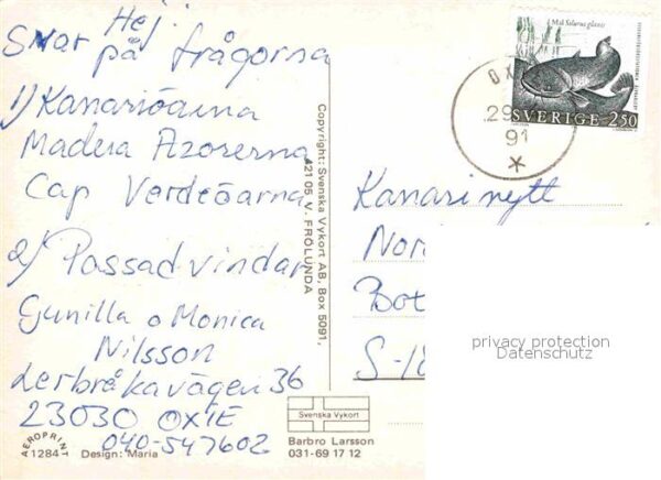 Affen Banane Küsntlerkarte – Bild 2