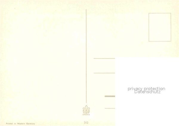 Affen – Bild 2