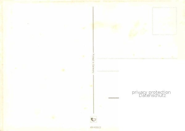 Affen – Bild 2