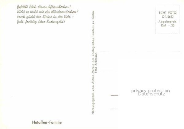 Affen Hutaffen-Familie – Bild 2