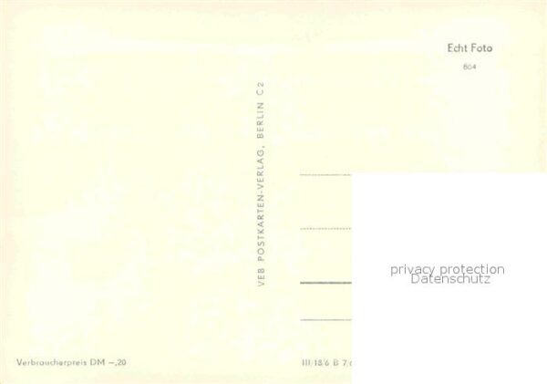 Affen Kinder – Bild 2