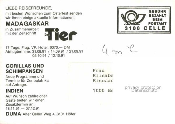 Affen – Bild 2