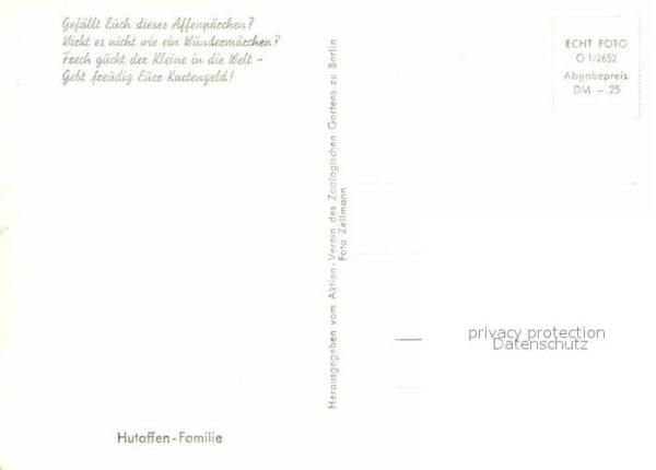 Affen Hutaffen-Familie – Bild 2