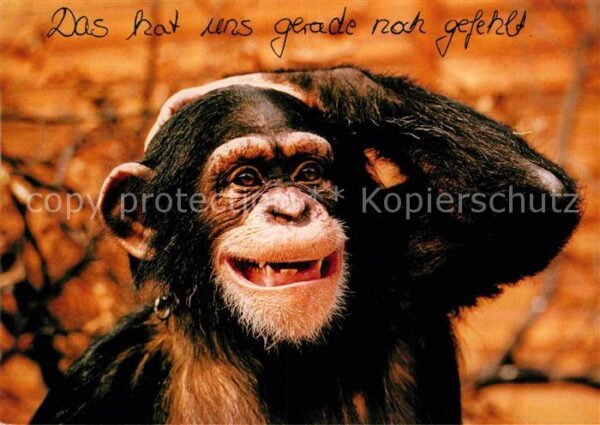 Affen
