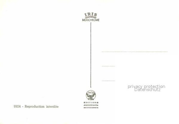 Affen – Bild 2