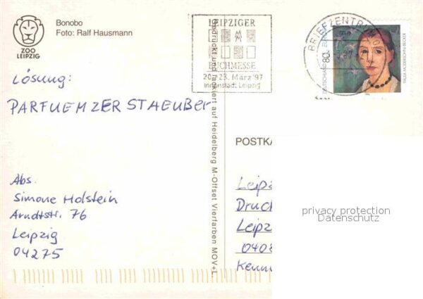 Affen Bonobo Zoo Leipzig – Bild 2