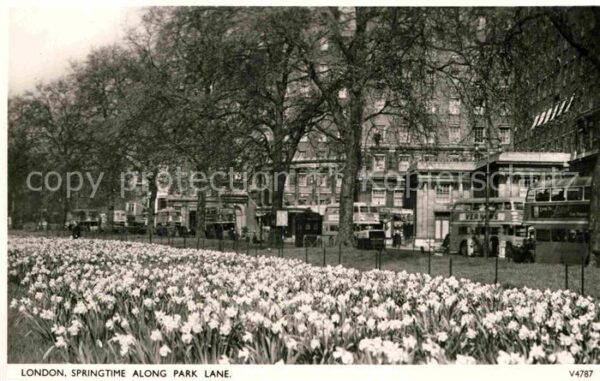 London Springtime along Park Lane