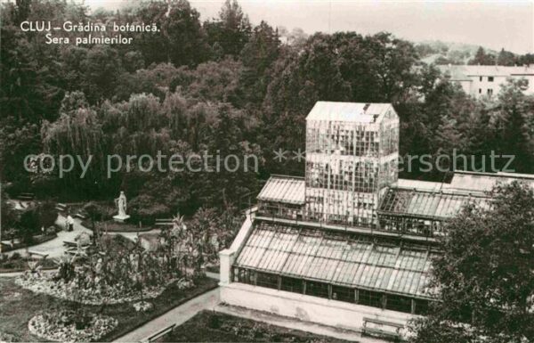 Cluj-Napoca Gradina botanica Sera palmierilor Botan