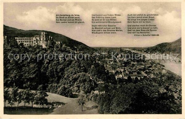 Heidelberg Neckar Gesamtansicht mit Schloss Gedicht Alt H