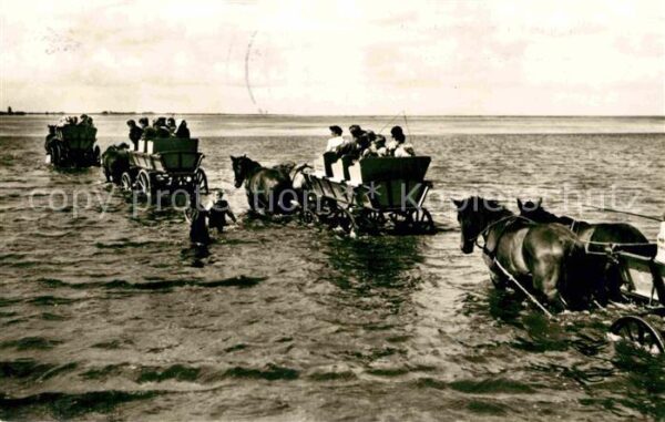 Cuxhaven Duhnen Nordseebad Wattwagen Fahrt Insel Neuwerk