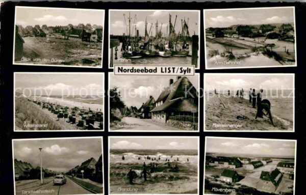 List Sylt Weststrand Landwehrdeich Brandung Möven