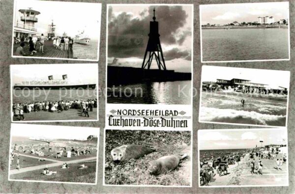 Cuxhaven Doese Nordseebad Strand Robben Fährschiff