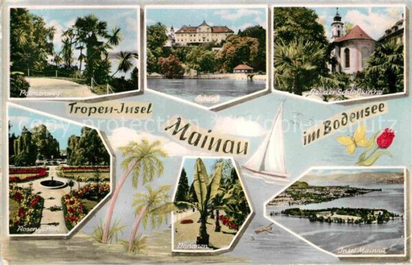 Mainau Bananen Insel Schlosskirche Palmenweg S