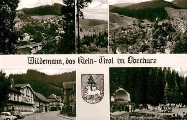 Wildemann Panorama Konzert Waldbühne