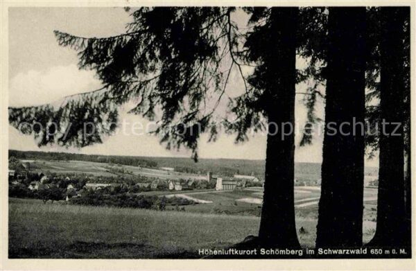 Schoemberg Freudenstadt Panorama