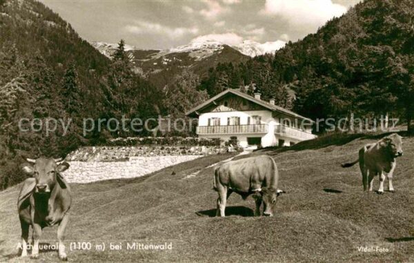 Mittenwald Bayern Aschaueralm