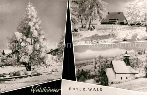 Waldhaeuser Neuschoenau Winterlandschaften