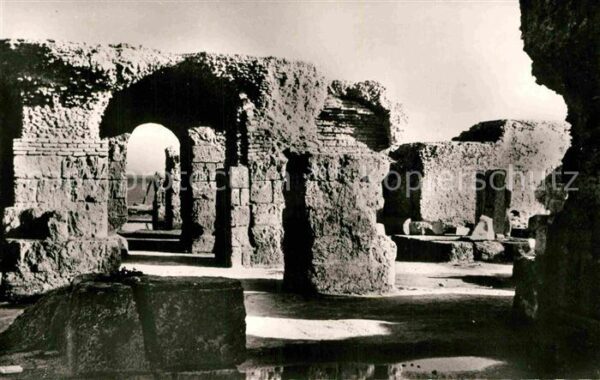 Bardo Tunis Le Museum Alaoui