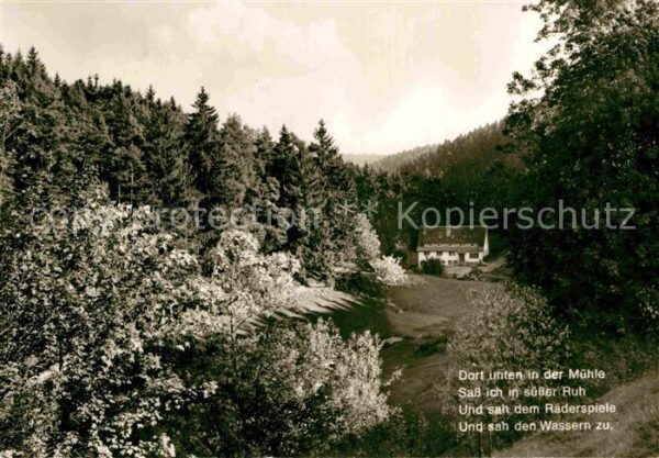 Besenfeld Schwarzwaldmühle