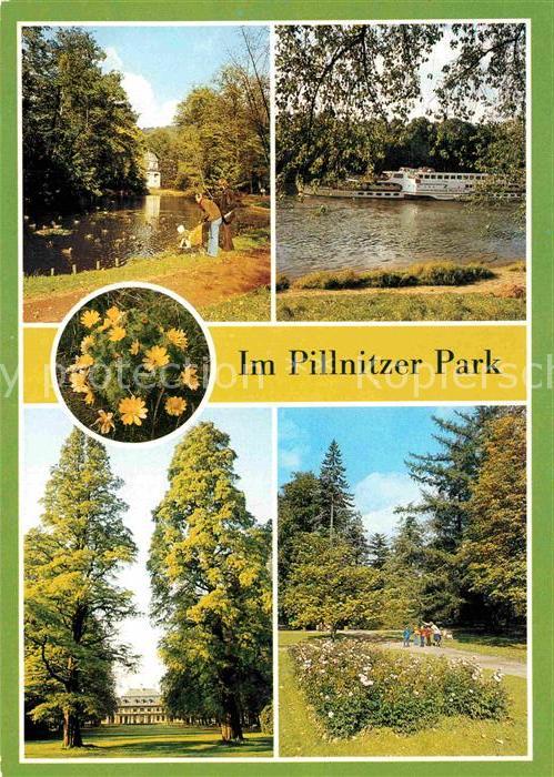 Pillnitz Elbe Bergpalais Schloßpark