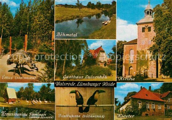 Walsrode Lueneburger Heide Böhmetal Kirche Emus Kloster Bunttukaen