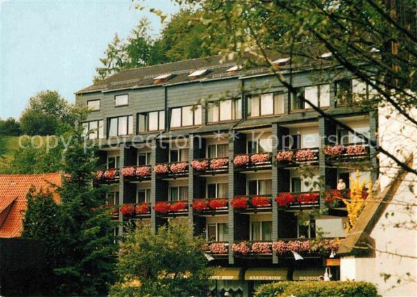 Bad Grund Sanatorium Alter Römer