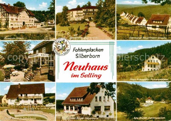 Neuhaus Solling Fohlenplacken Silberhorn Brauner-Hirsch