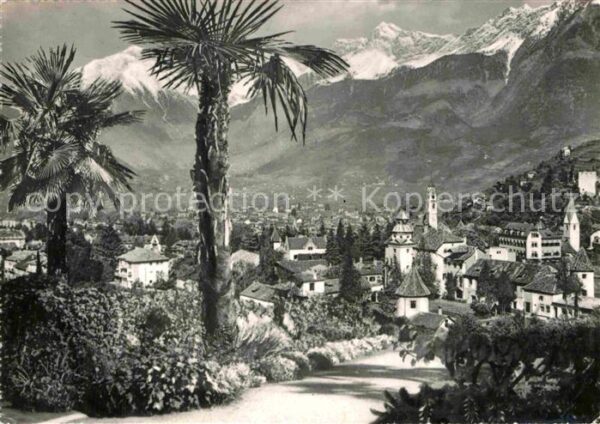 Meran Merano Stadtpanorama mit Blick zur Texelgruppe