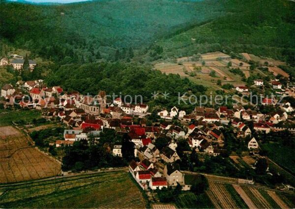 Bad Gleisweiler an der deuschten Weinstrasse Fliegerauf