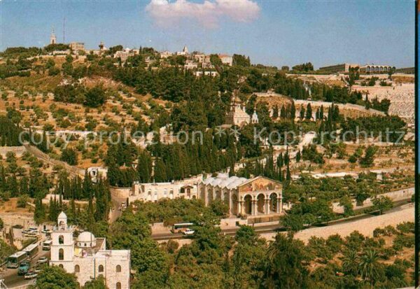 Jerusalem Yerushalayim Garden of Gethsemane