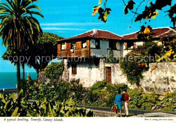 Tenerife A typical dwelling Palme Drachenbaum